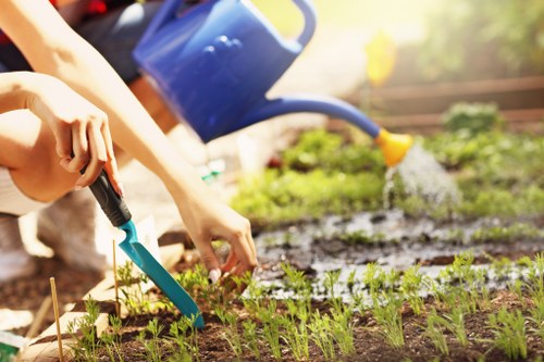 Garden waste sorting and recycling by Gardeners West Norwood