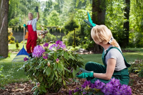 Garden waste and pricing consultation for a West Norwood front garden
