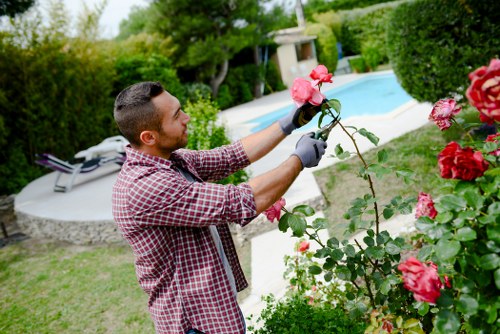 Professional gardening services in West Norwood for tidy outdoor spaces
