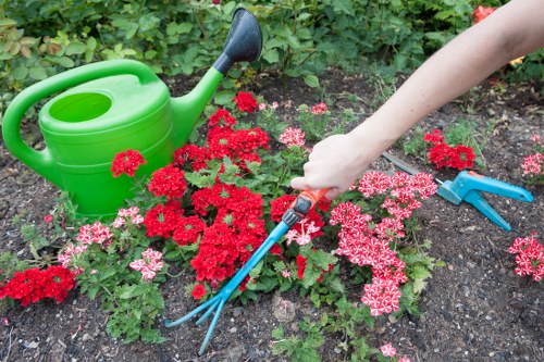 Professional lawn mowing service in West Norwood