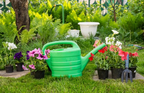 Seasonal garden maintenance for a well-kept West Norwood property