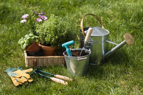 Free quote assessment for a garden clearance near a busy West Norwood street