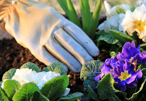 Trusted Gardeners West Norwood payment methods including card and transfer