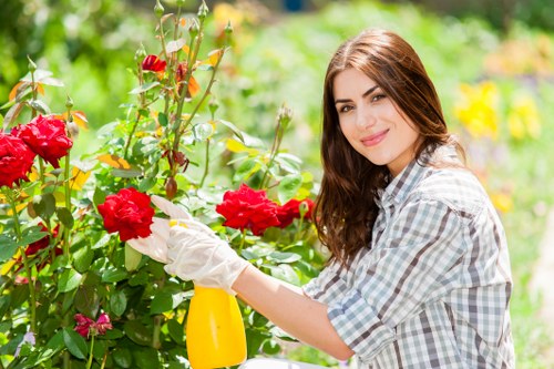 Keyboard navigation and structured page accessibility for local gardeners
