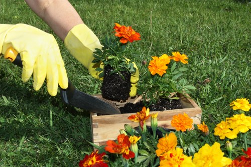 Professional garden maintenance in West Norwood near a home garden
