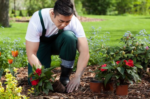 Seasonal gardening services for West Norwood homes and businesses
