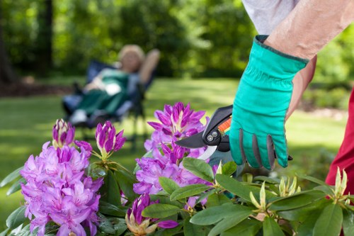 Illustration of a completed gardener complaints process
