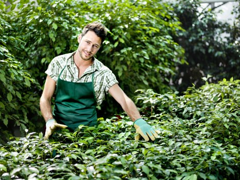 Ethical sourcing and supplier responsibility in gardening