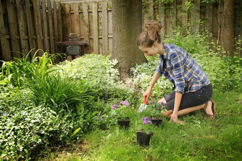 Transparent pricing discussion for ongoing gardening services in West Norwood