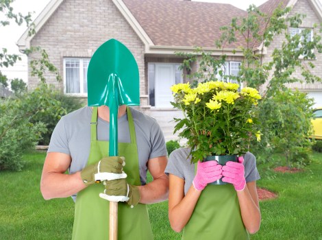Green waste removal during West Norwood garden clearance