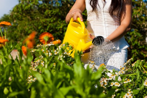 West Norwood garden maintenance with lawn and hedge care