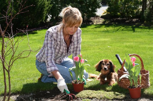 Screen-reader compatible content for West Norwood gardening services